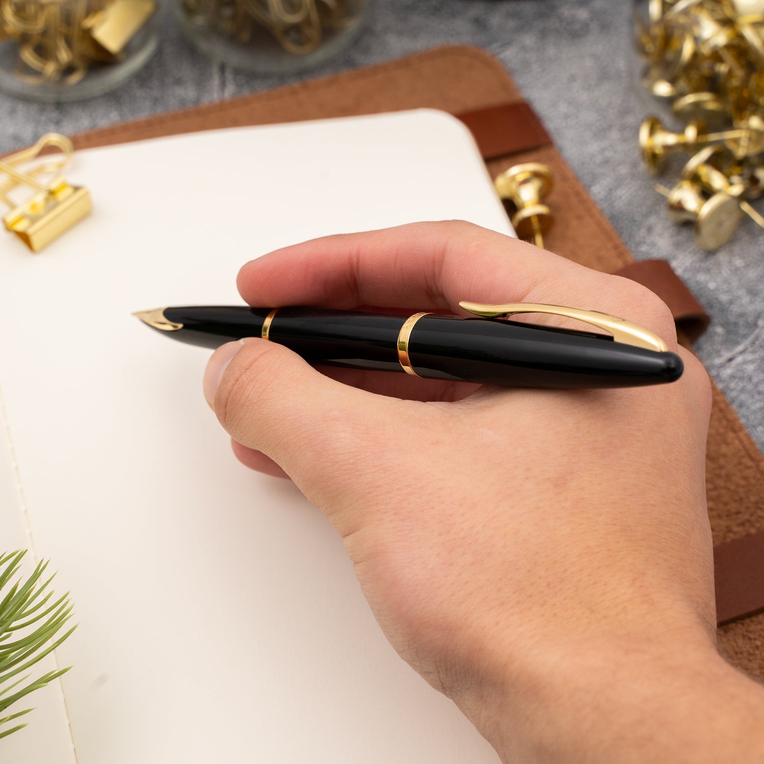 Waterman Carène Fountain Pen Medium Nib - Black with Gold Trim