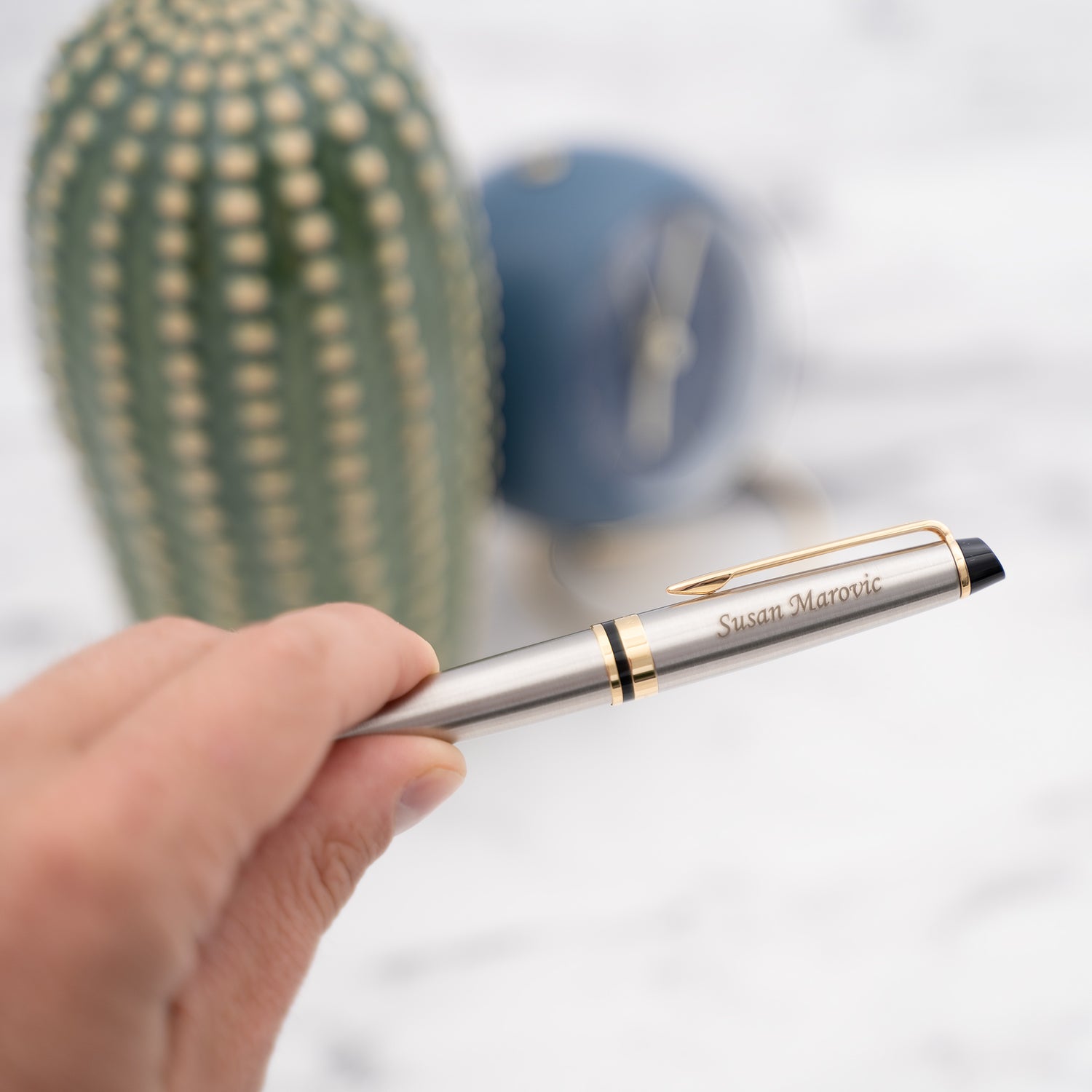 Waterman Expert Ballpoint pen - Stainless with Gold Trim